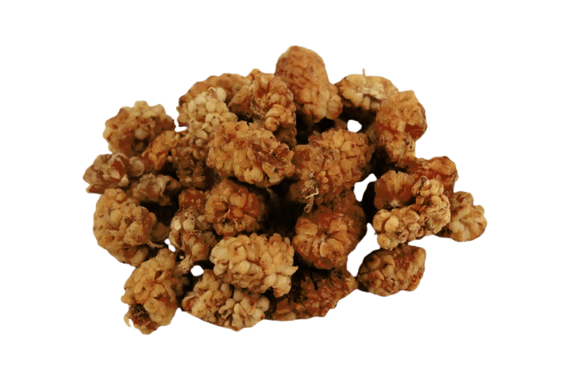 Moruša