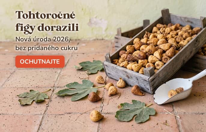 Tohtořočné figy dorazili