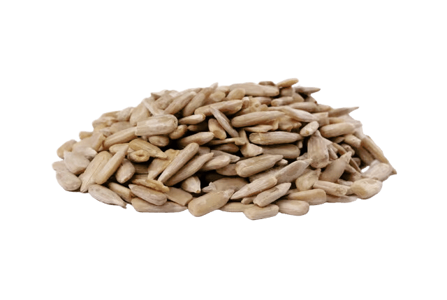 Slnečnicové semienka