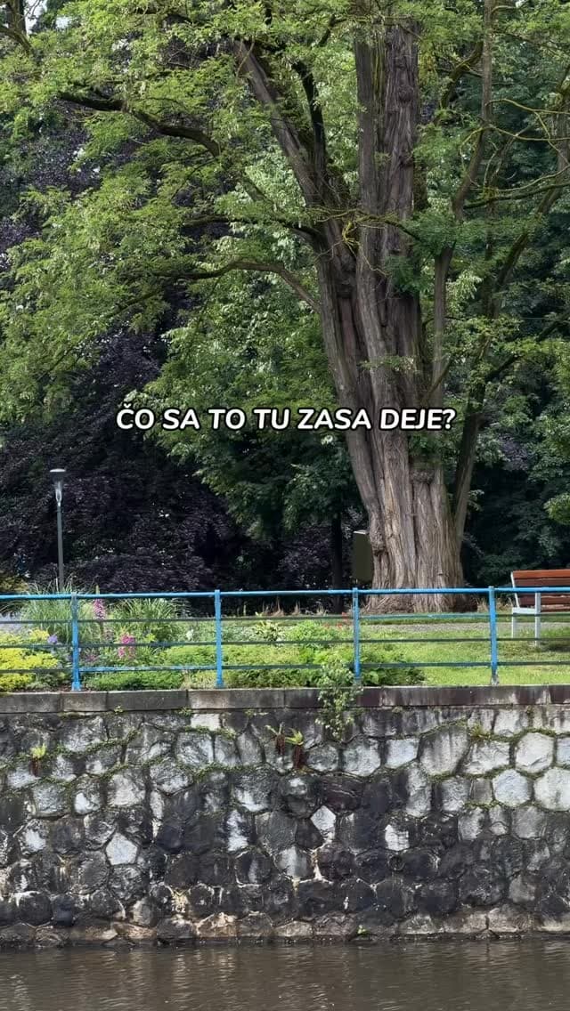 Príspevok z Instagramu
