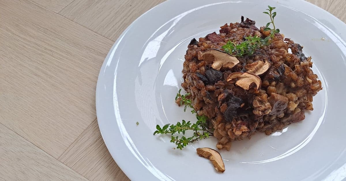 Recept: Zapečený hubový kubo
